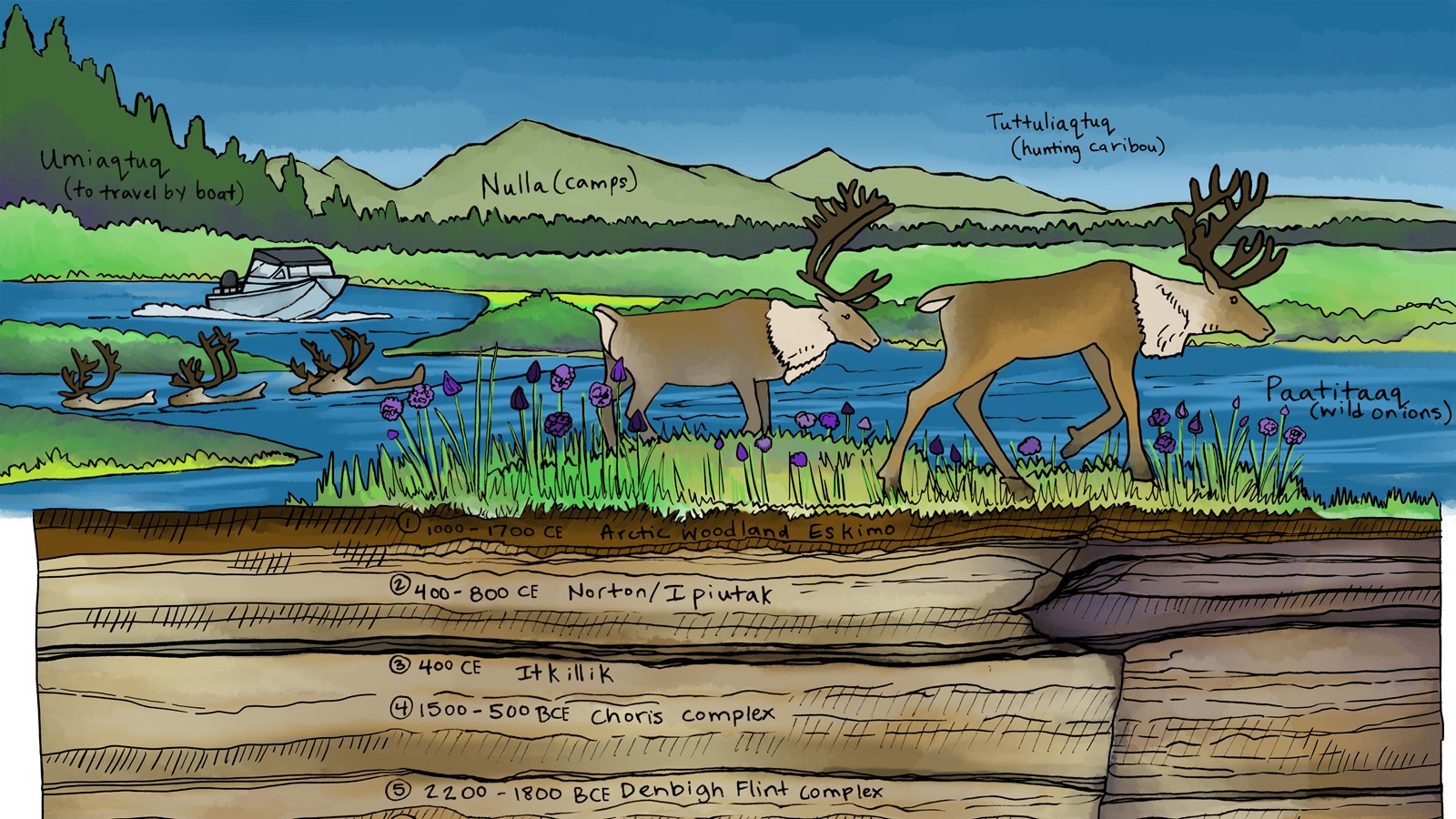 A line drawing with a cross section of earth layers below and caribou walking above a ground line.