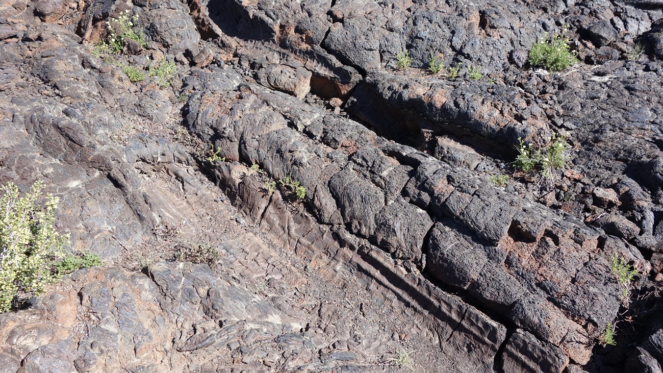 dark rock featuring the impression of two fallen tree trunks