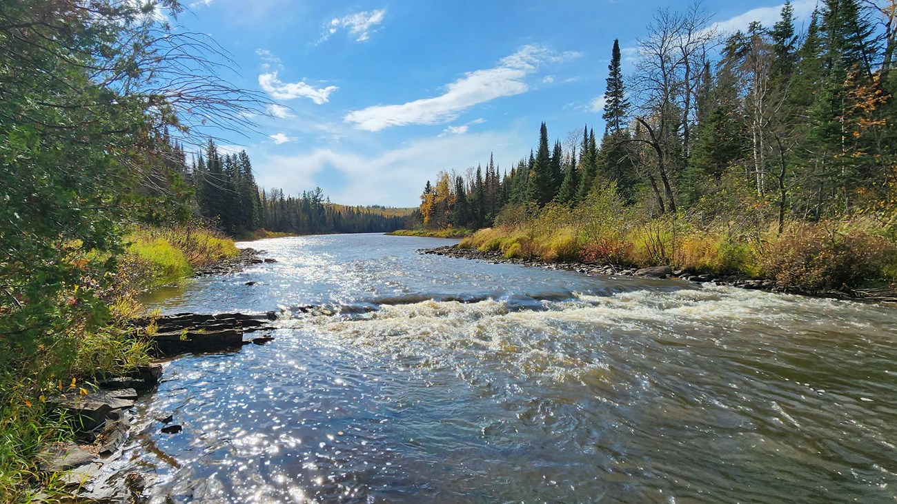 A river with shallow rapids, passing through a forest.