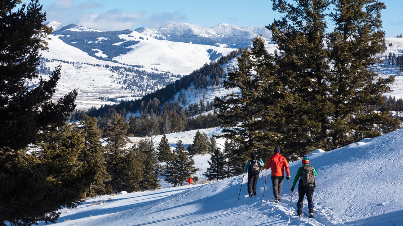 Three skiers travel downhill towards mountains in the distance.