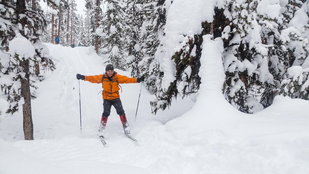 A person excitedly cross-country skis down a steep hill in the forest.