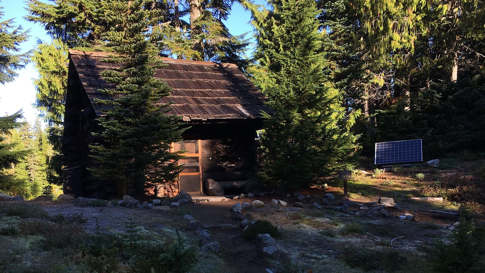 Dark brown log cabin surrounded by trees