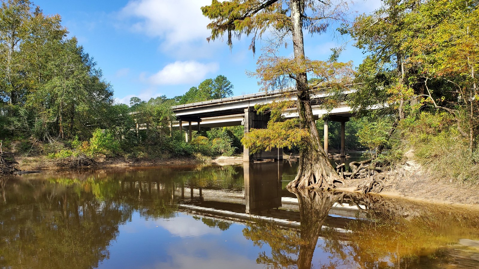 reflection in a river with a highway bridge in the background