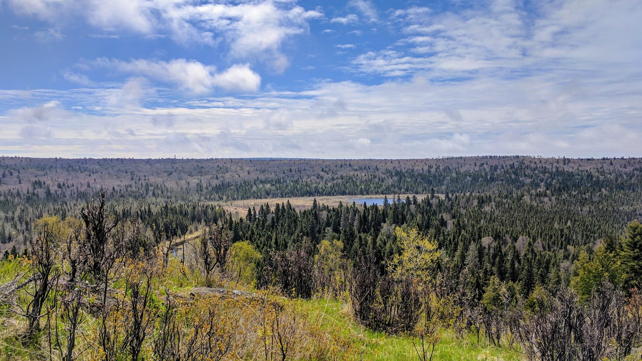 Cloudy skies overlook forested ridges and a creek in the distance. 