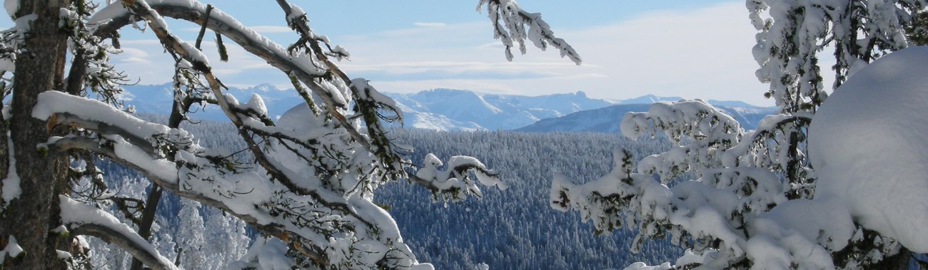 Glimpses of mountain views can be seen through the trees along the Divide Ski Trail.