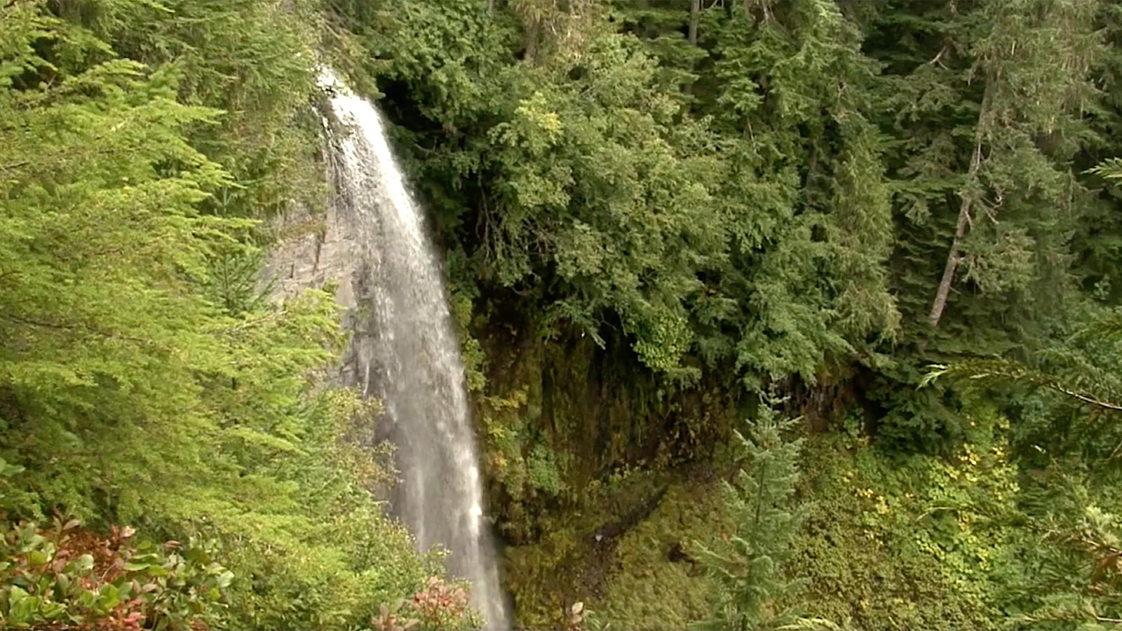 140 foot waterfall surrounded by trees