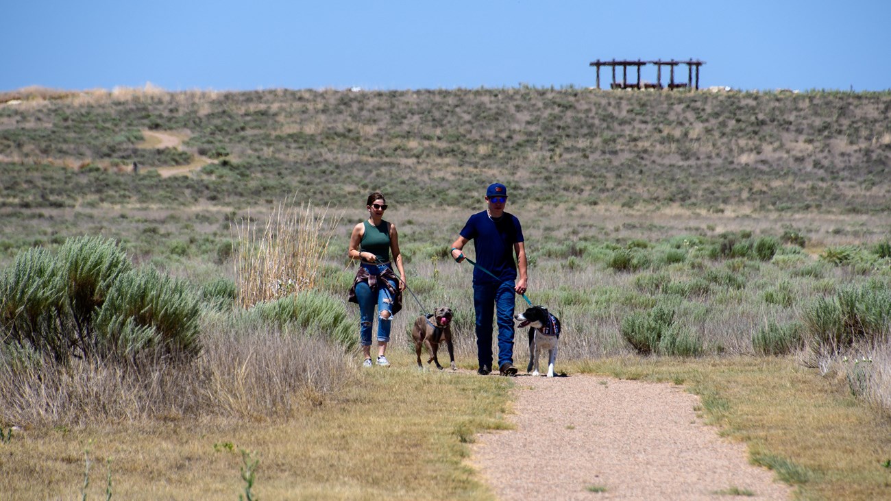 Two humans walk two B.A.R.K. Rangers on leashes on a trail