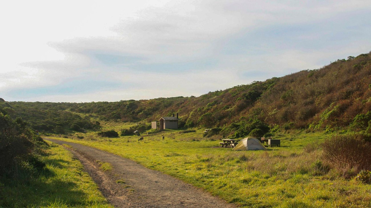 A small camping tent adjacent to a hillside on green grass, next to an outhouse and gravel path.