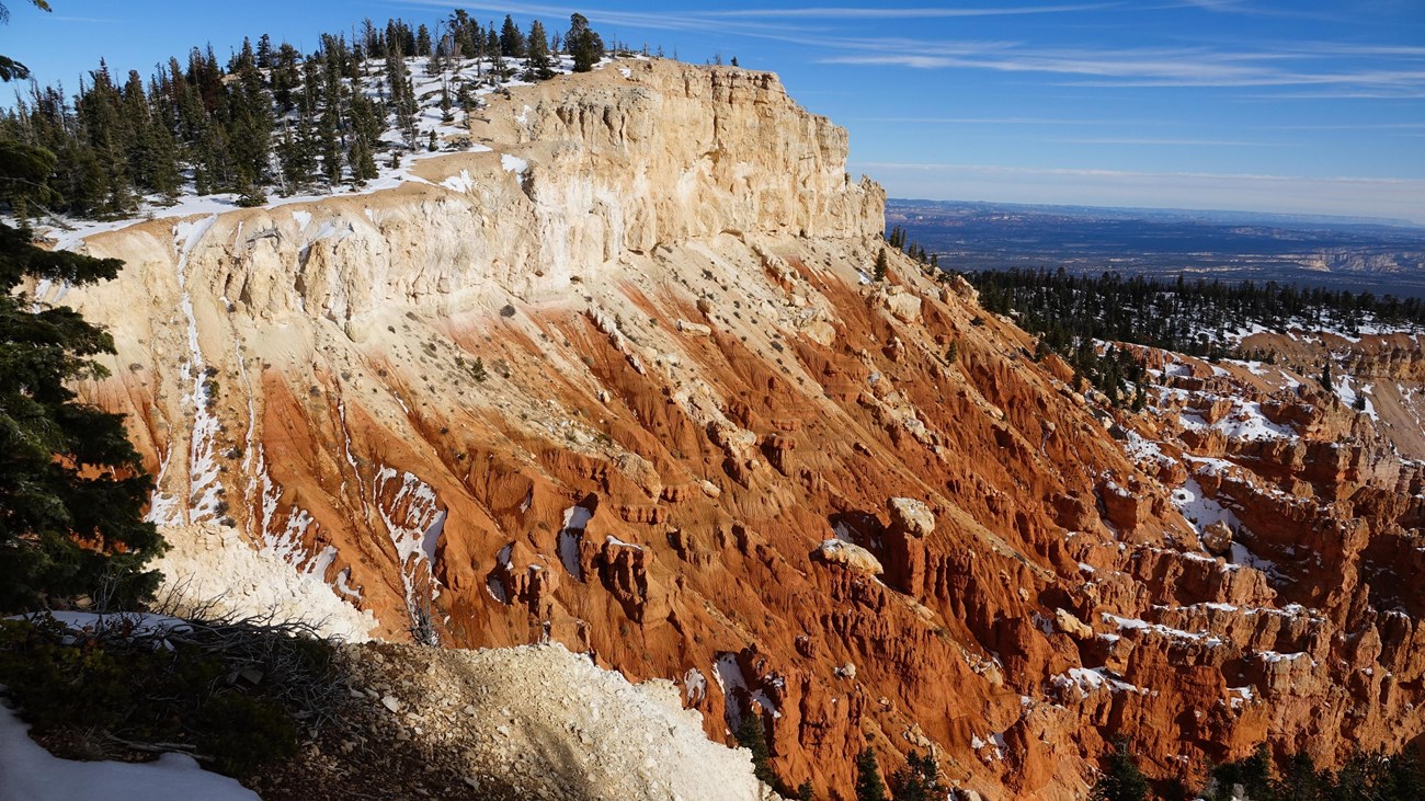 Red rocks topped with dark green trees slope down into a canyon of red rocks