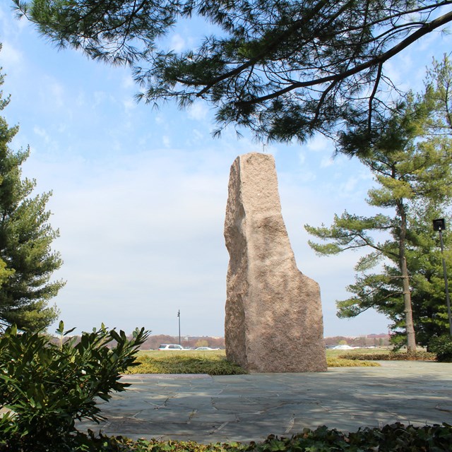 The Lyndon Baines Johnson Grove.