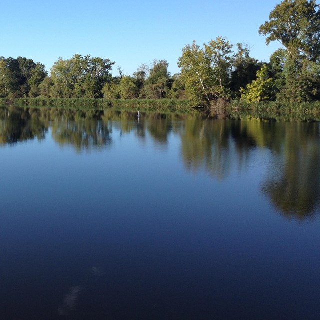 The Majestic Cane River Country.