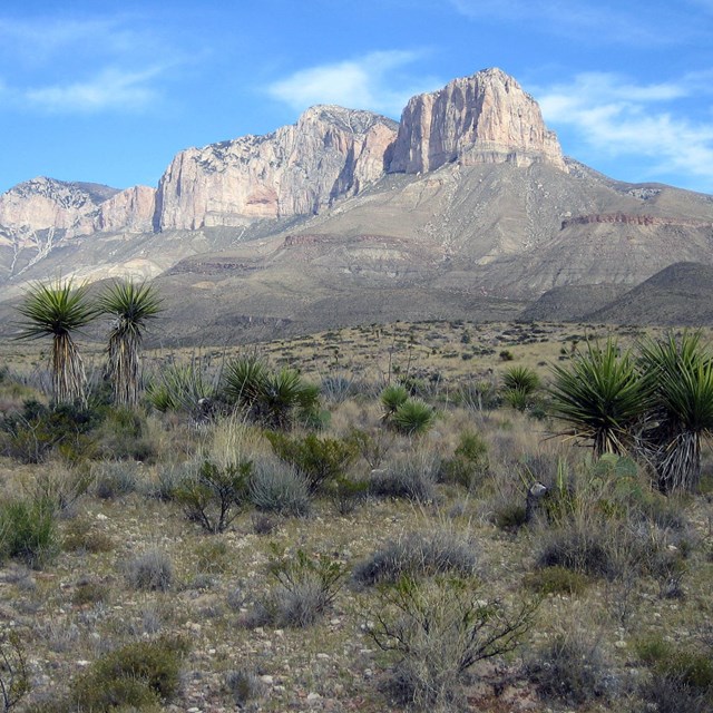 Limestone cliff rising high over desert landscape