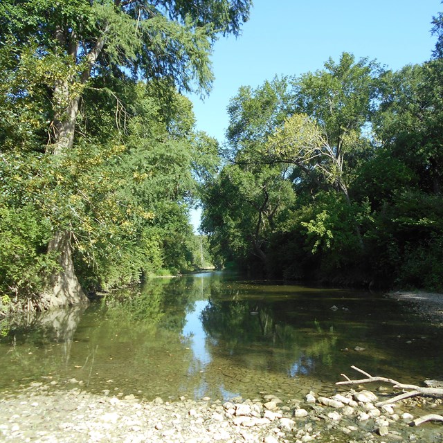 A still creek winds through a heavily vegetated area.