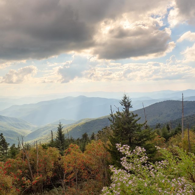 Sun rays through clouds onto lush green mountains with flowers, shrubs and trees in the foreground.