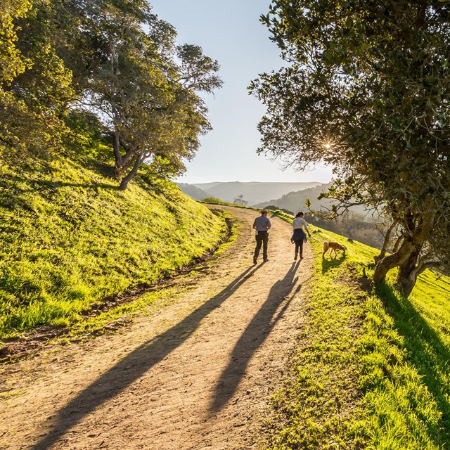 A ranger, a hiker, and a dog walk down a dirt path that cuts through a grassy mountain with trees