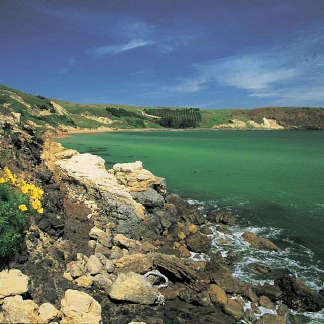 Green sea leading up to rocky shore