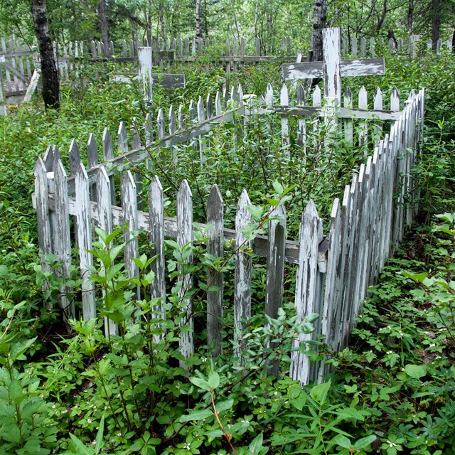 Fading white paint on fence lining grave in woods