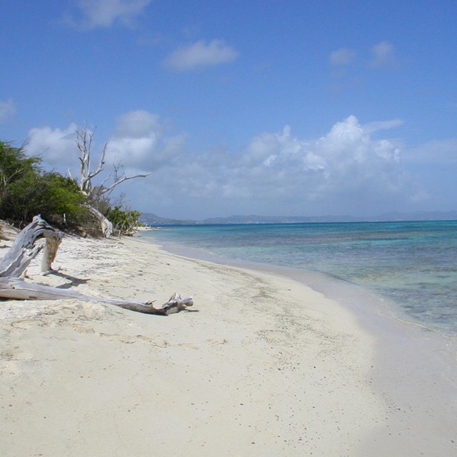 Buck Island Reef National Monument