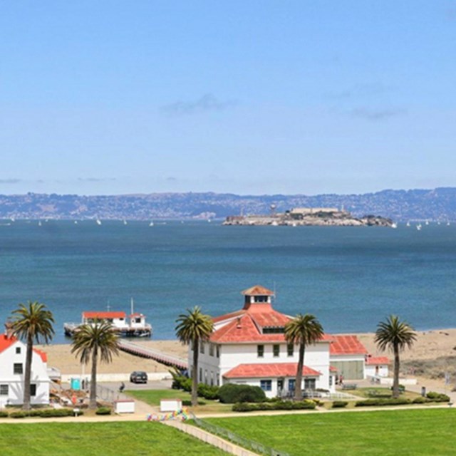 buildings surrounded by the presidio of SF and golden gate