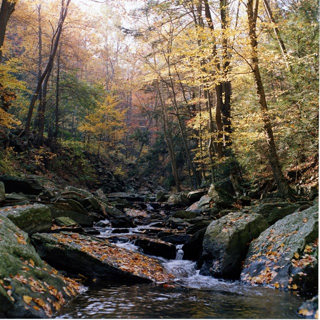 Waterfall in Catoctin Mountain Park.