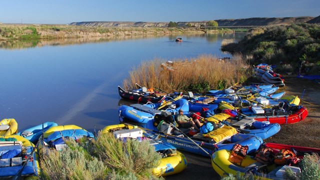 Boats on the edge of a river.