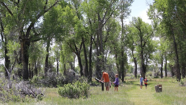 people in a forest who are reading outdoor exhibits