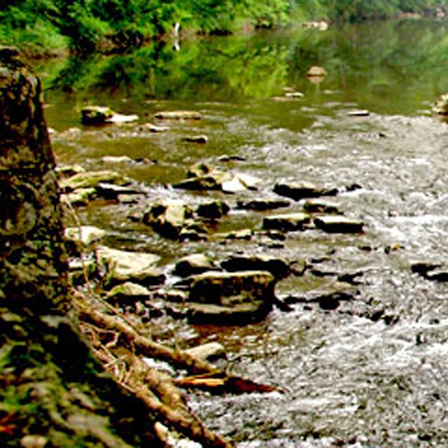  old bridge abutements on both side of White Clay Creek