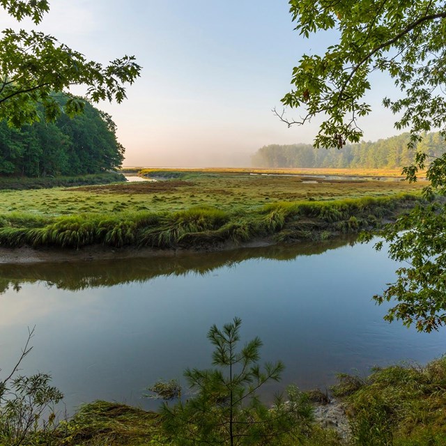 York River