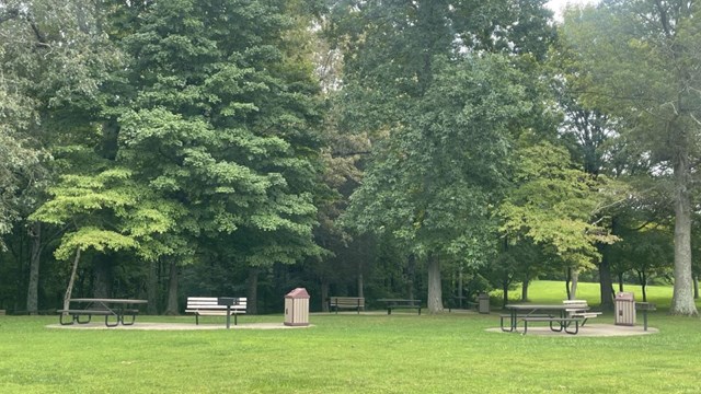 picnic area in the summer