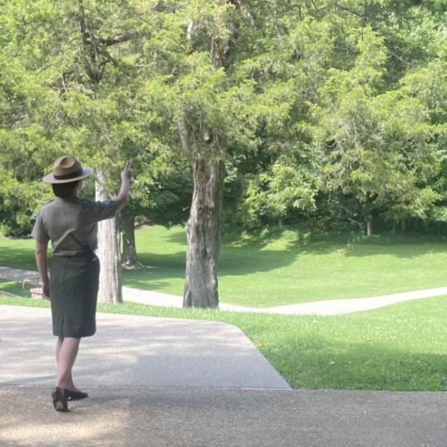 ranger pointing at tree