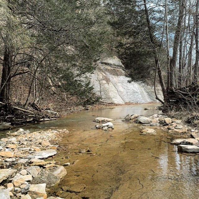 creek with water in it 