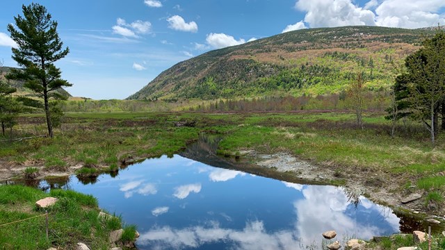 blue sky reflects in standing water below green hills