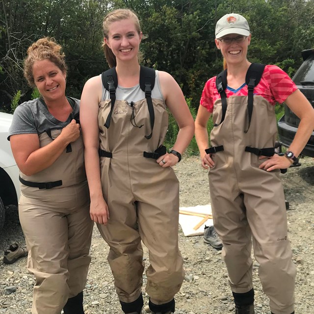 3 Acadia Teacher Fellows collecting data on insect project. 