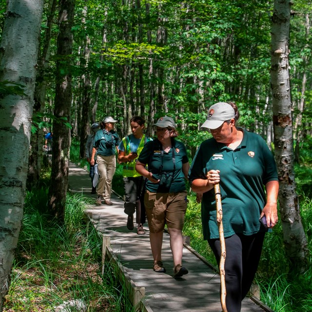 Line of people walking down wooden boardwalk in forest.