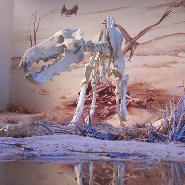 Large fossilized creatures tower overhead inside the visitor center