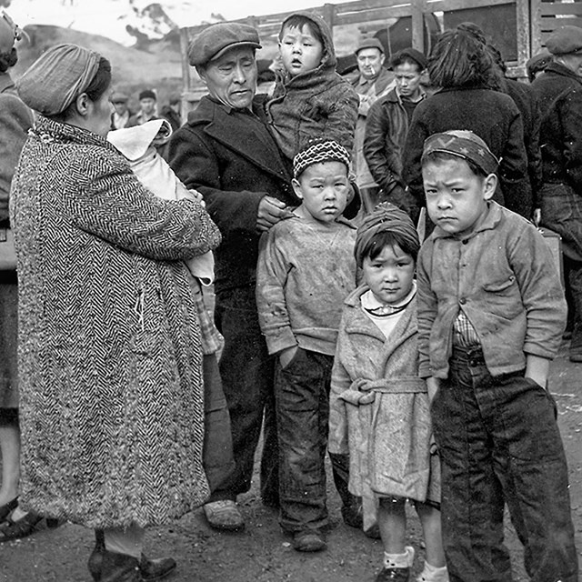 An image of several young children standing around