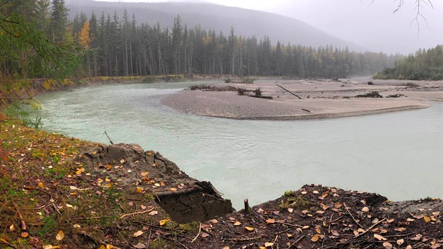 A river bend.