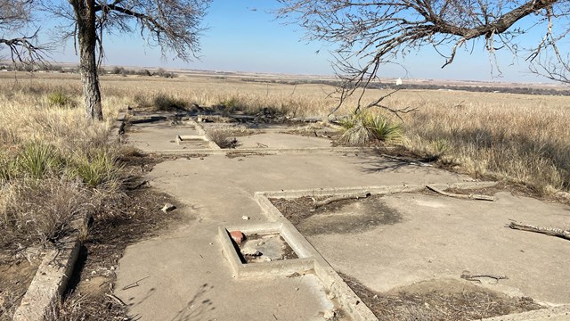 A concrete foundation with grasses and trees growing in and around it.