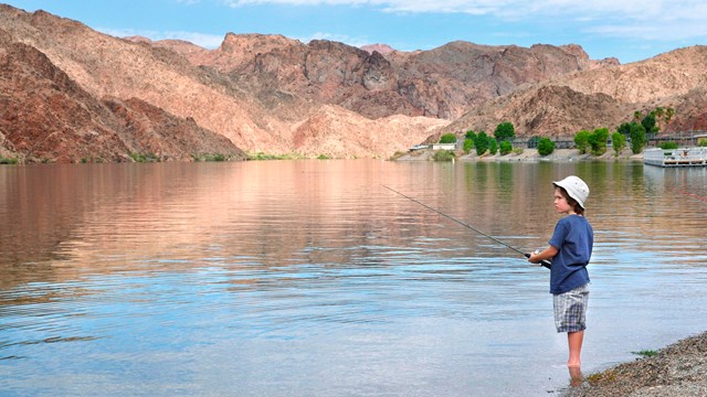 a person fishes.