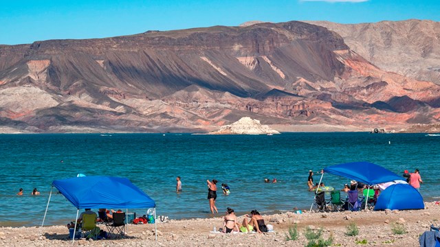 people swimming at the beach