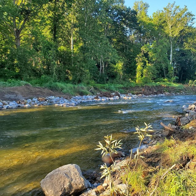 Water Quality