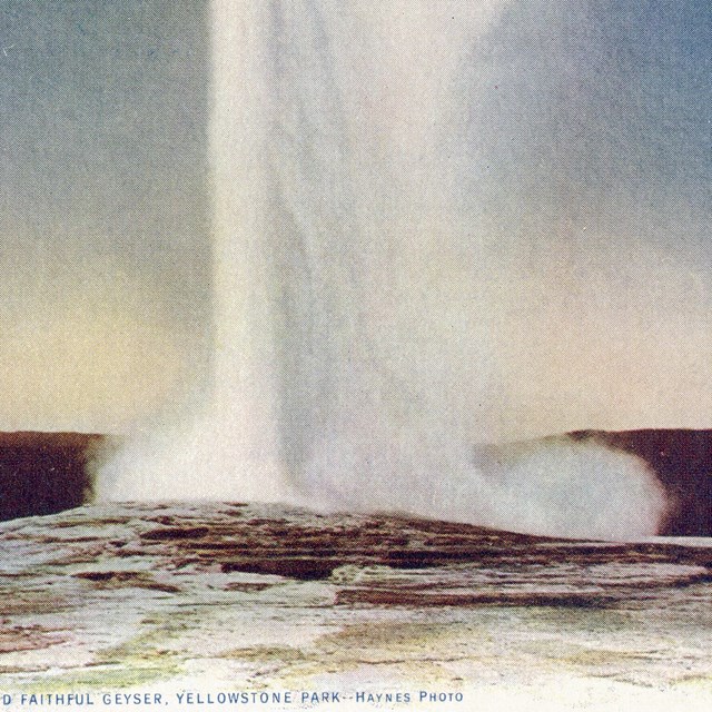 Old Faithful Geyser, Yellowstone Park (Postcard)