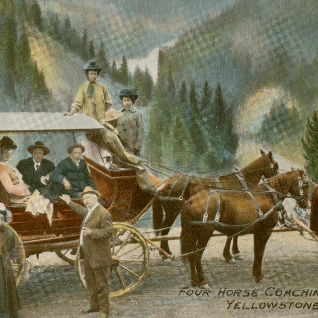 Four Horse Coaching Party / Yellowstone Park, Wyo.