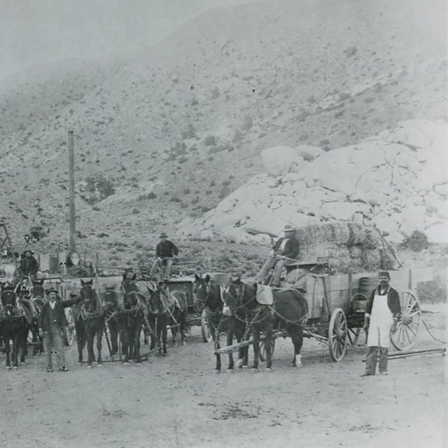 Freight Wagons at Lost Horse Wells