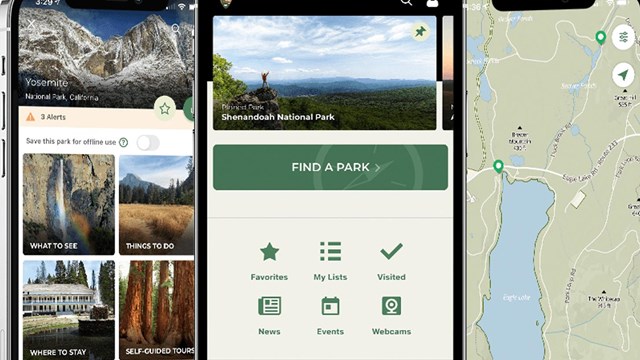 NPS App