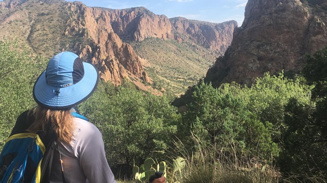 A hiker enjoys majestic views in the Chisos Mountains.