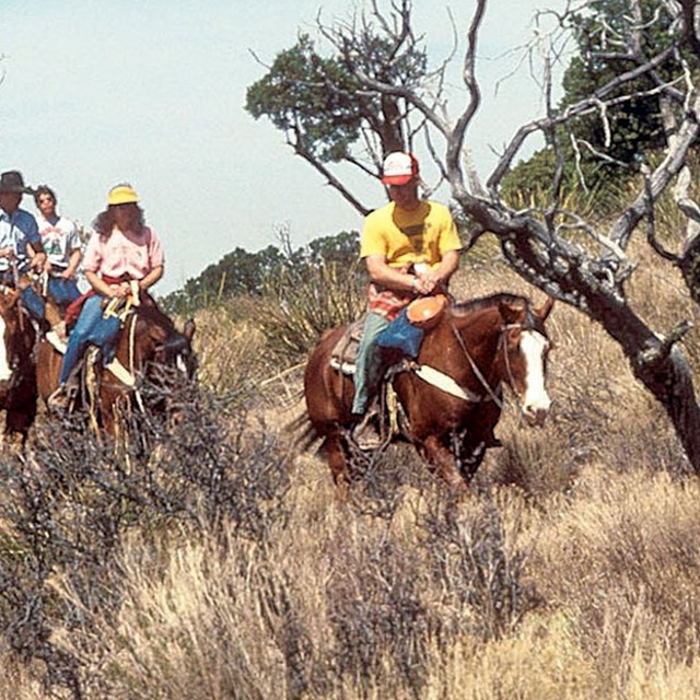 Horseback Riding