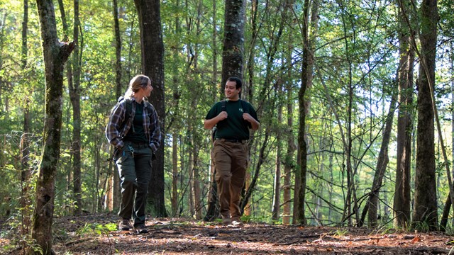 2 hikers walk on a wide dirt trail in the forest.