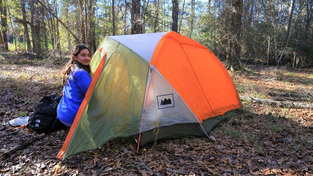 A woman wearing blue jacket entering a yellow-white-orange tent in a forest clearing.