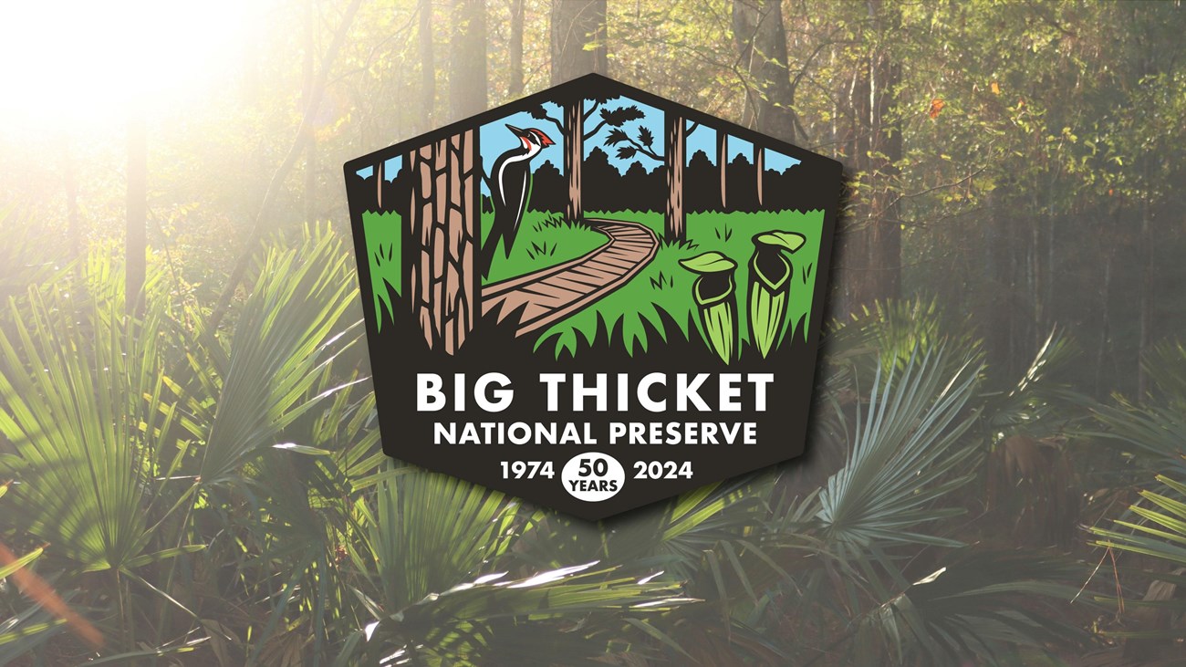 Hexagonal logo of woodpecker & plants with text: Big Thicket National Preserve 50 years 1974-2024.